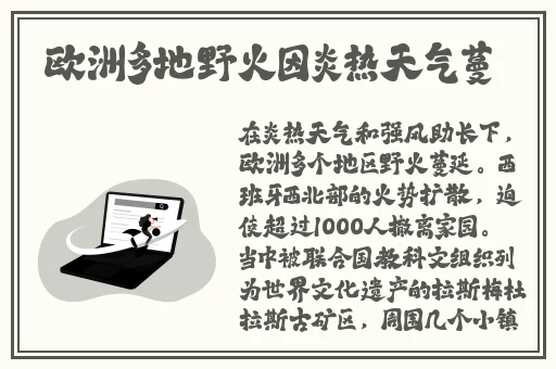 无人区码卡二卡三卡的区别